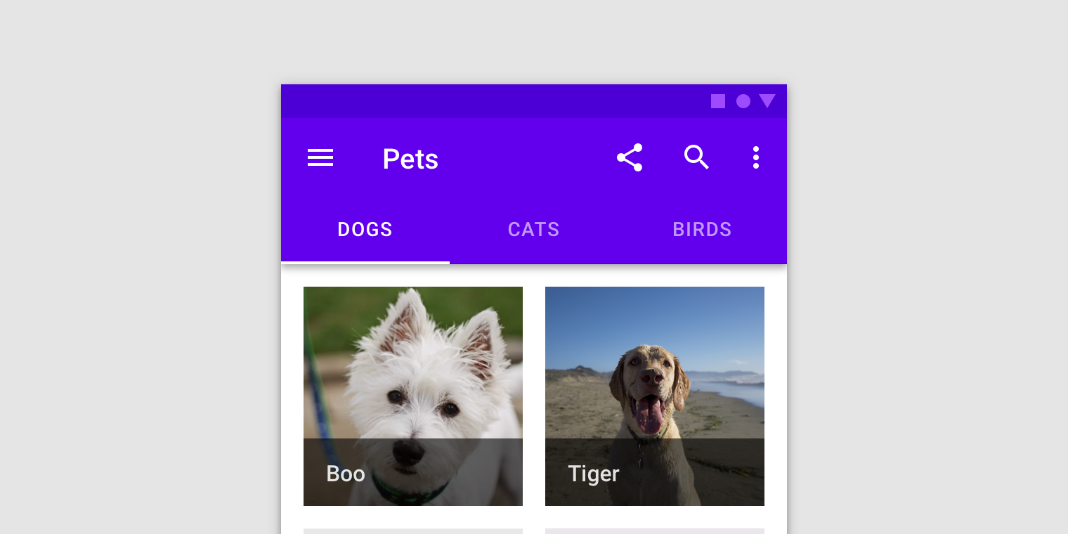 Tabs 사진